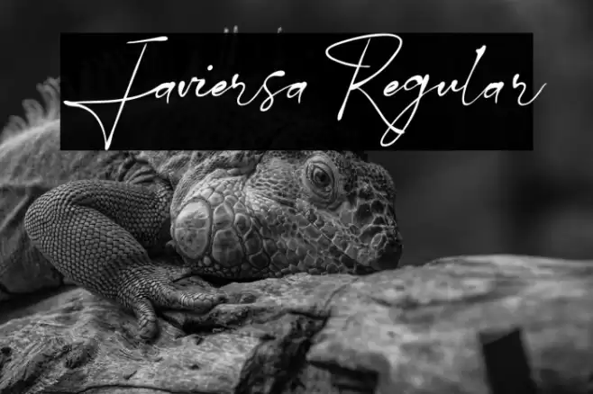 Javiersa Regular Font examples