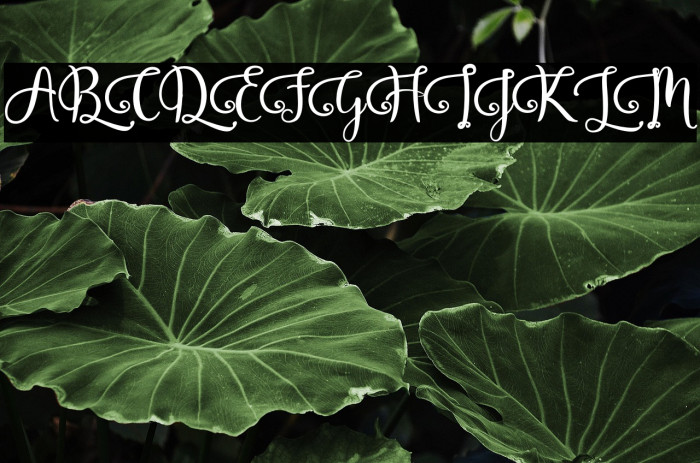 Javinka Alternate Example 3