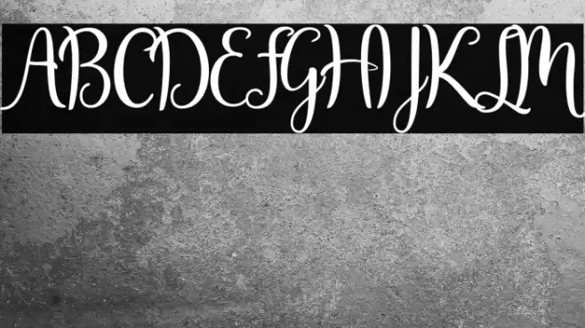 Javinka Script Font examples