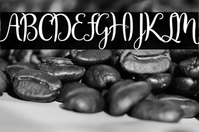 Javinka Script Font examples