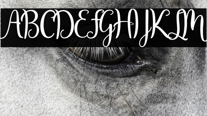 JavinkaScript Example 1