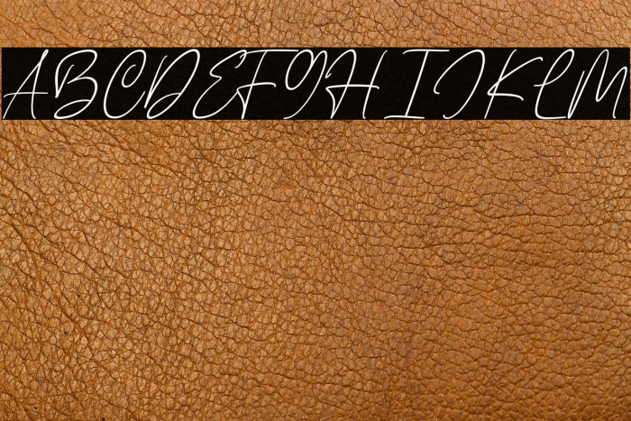 Javyer Personal Use Example 2