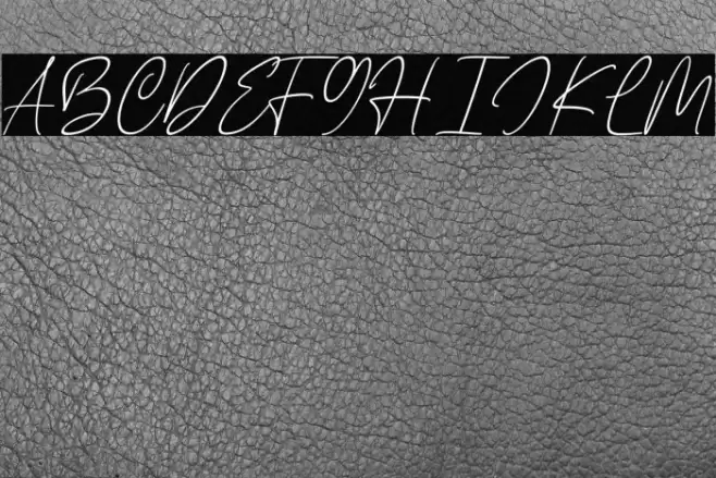 Javyer Personal Use Font examples