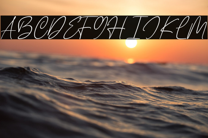 Javyer Personal Use Example 3