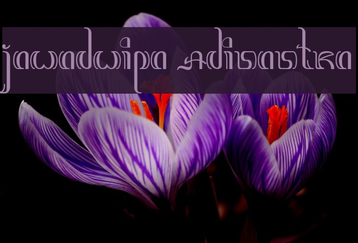 Jawadwipa Adisastra Font examples
