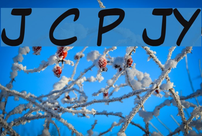 Jaws Comic Pro JY Example 2