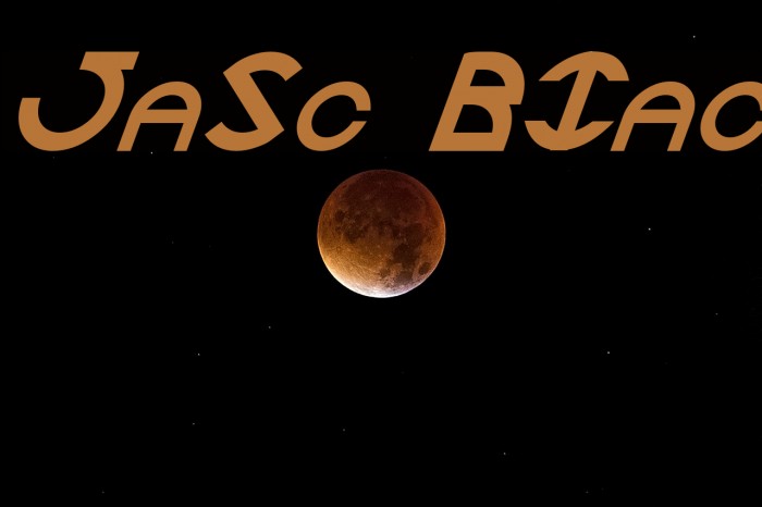 JaySetch BoldItalic Font examples