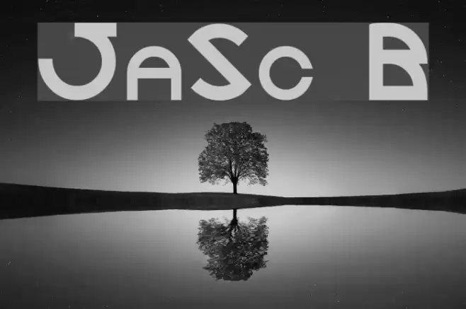 JaySetch Bold Font examples