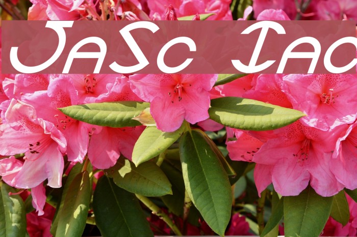 JaySetch Italic Font examples