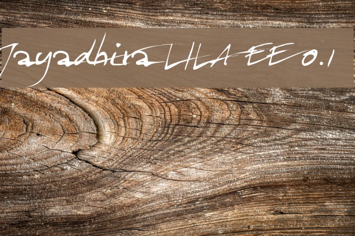Jayadhira LILA EE 0.1 Font examples
