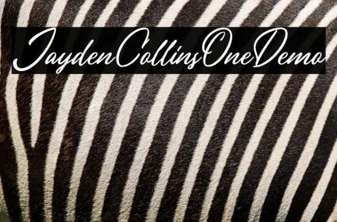 JaydenCollinsOneDemo Example 1