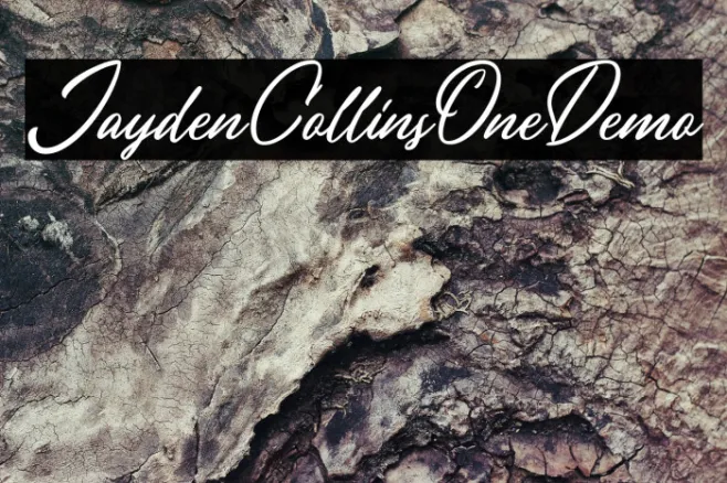 JaydenCollinsOneDemo Example 2