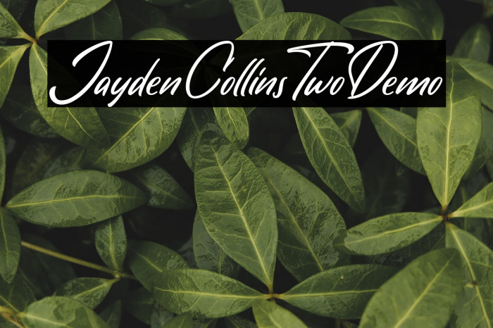 JaydenCollinsTwoDemo Example 2