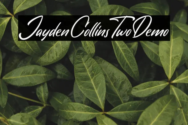 JaydenCollinsTwoDemo Example 2