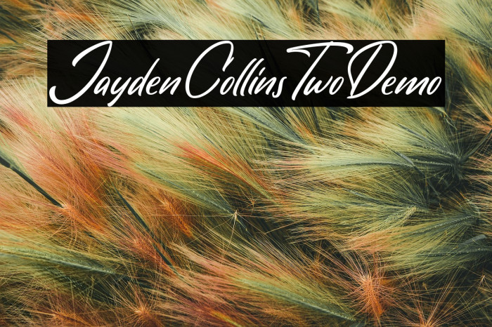 JaydenCollinsTwoDemo Example 3