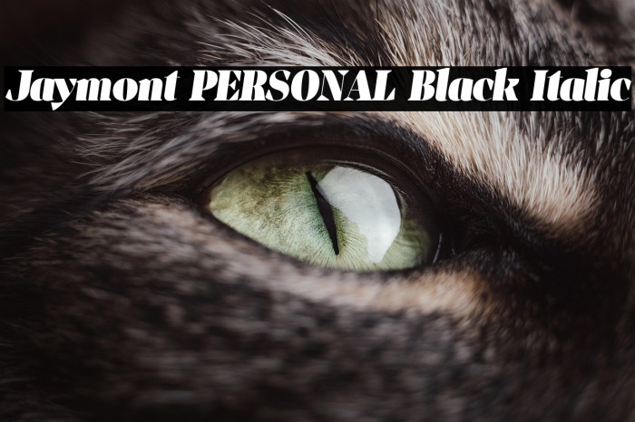 Jaymont PERSONAL Black Italic Example 1