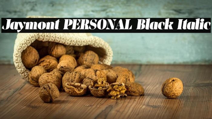 Jaymont PERSONAL Black Italic Example 2