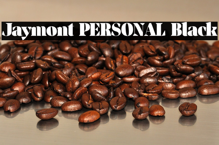 Jaymont PERSONAL Black Example 2