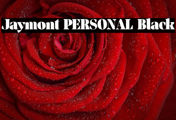 Jaymont PERSONAL Black Example 3