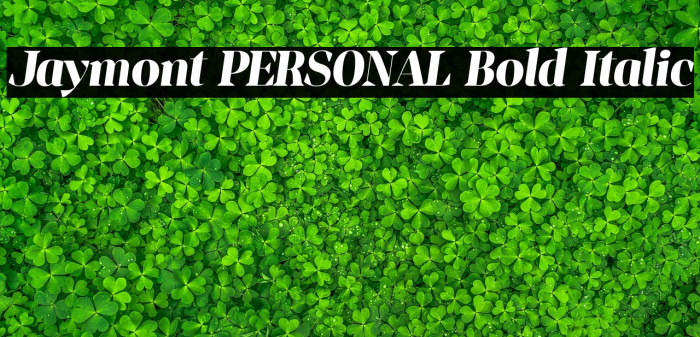 Jaymont PERSONAL Bold Italic Example 2