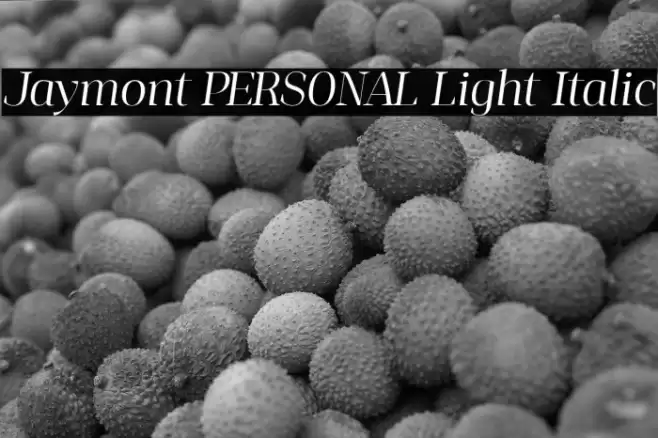 Jaymont PERSONAL Light Italic Font examples