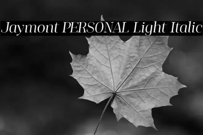 Jaymont PERSONAL Light Italic Font examples