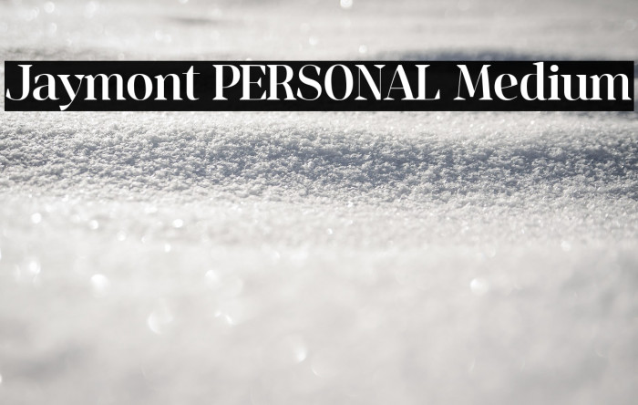 Jaymont PERSONAL Medium Example 1