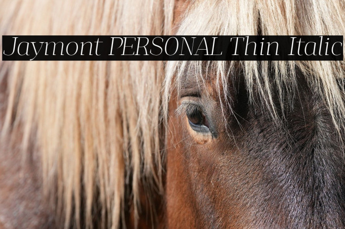 Jaymont PERSONAL Thin Italic Example 3