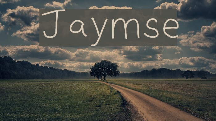 Jaymse Font examples
