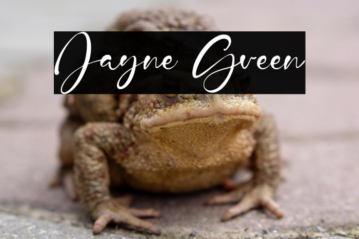 Jayne Green Example 2