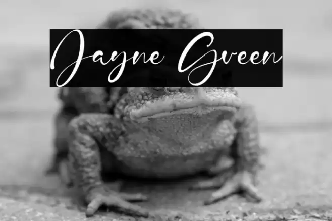 Jayne Green フォント examples