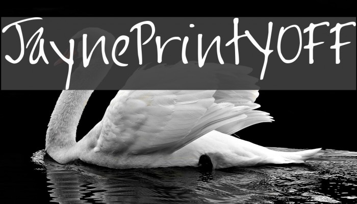 JaynePrintYOFF Example 3