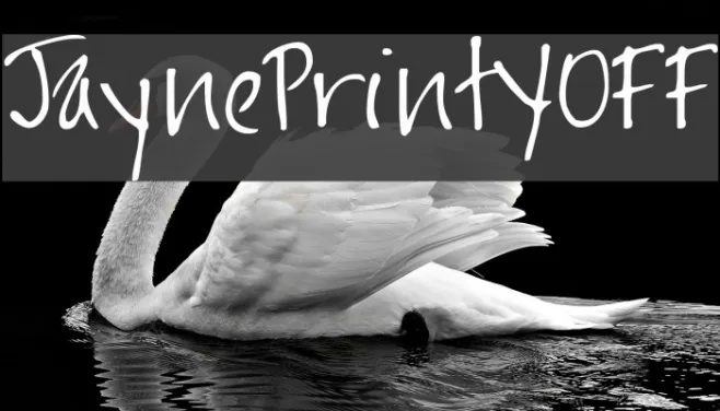 JaynePrintYOFF Example 3