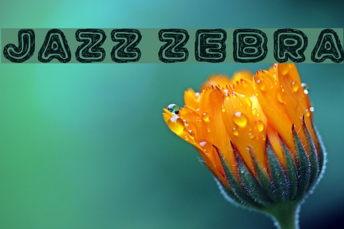 Jazz Zebra Font examples