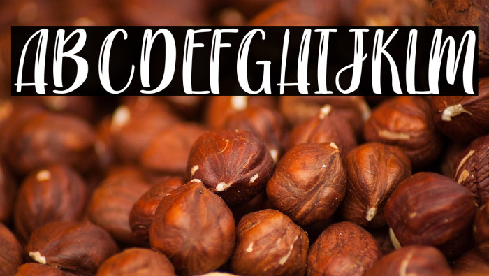 Jazzy Raptor - Personal Use Example 1