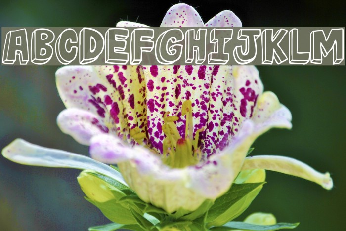 jabjai Light Font examples