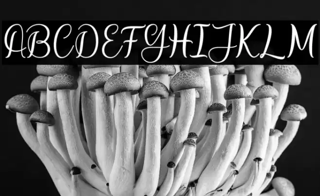 jackpot Font examples