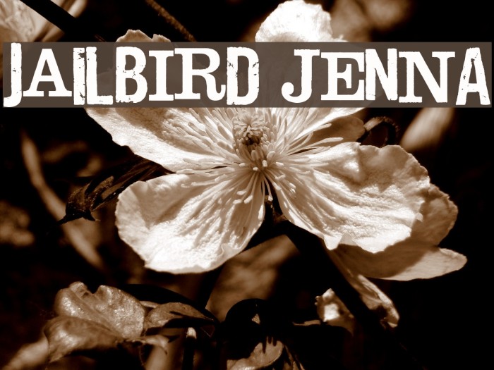 jailbIrD JenNA Font examples