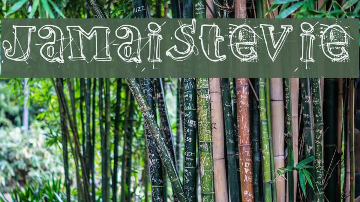 jamaistevie Font examples