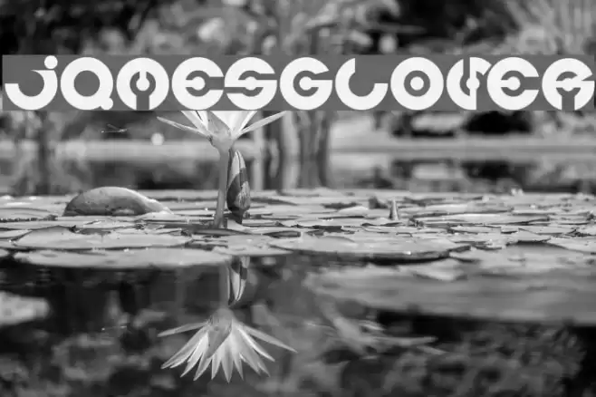 jamesglover Font examples