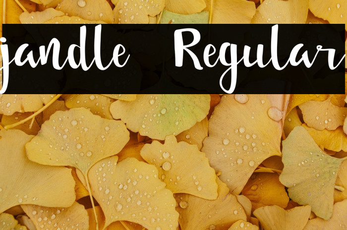 jandle  Regular Example 1