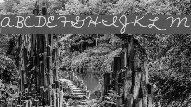 janellescript Font examples