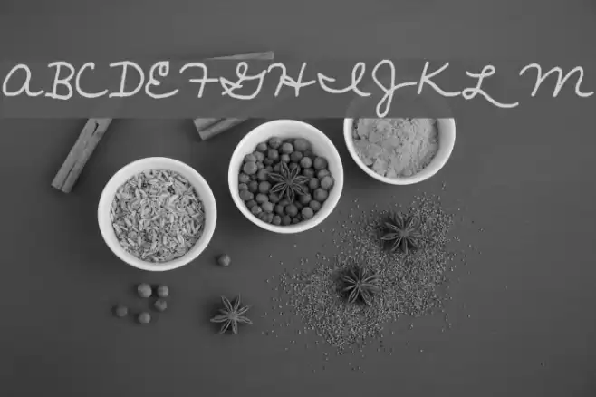 janellescript Font examples