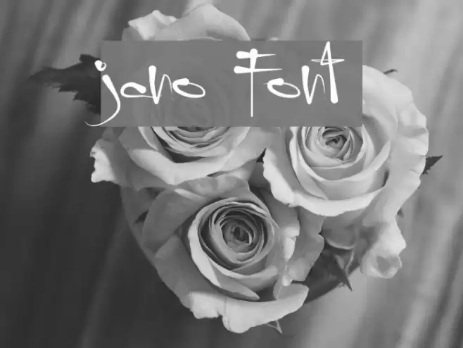 jano Font examples