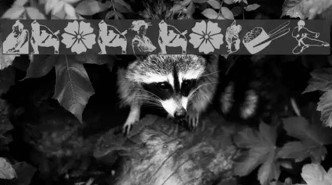 japanapush Font examples