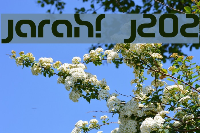 jarah! j202 Font examples