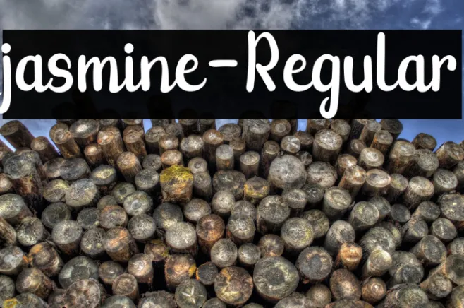 jasmine-Regular Example 1