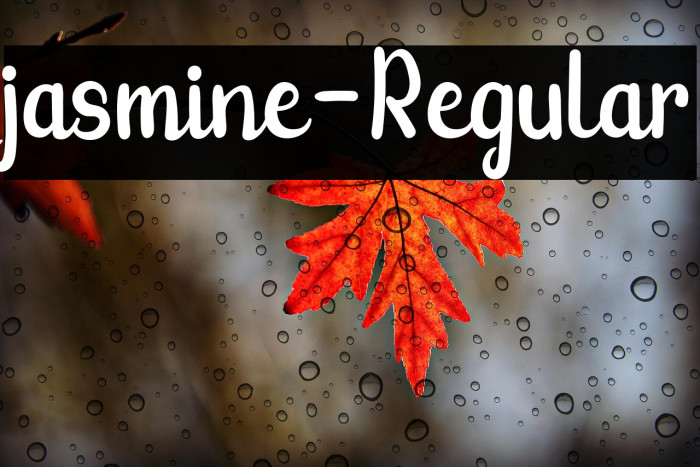 jasmine-Regular Example 2