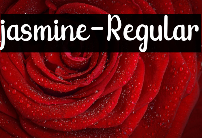 jasmine-Regular Example 3