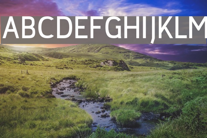 jaune d'oeuf Bold Font examples